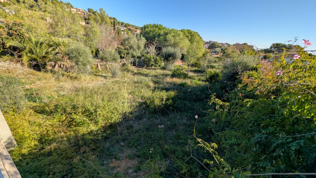 PXL_20251122_102855021