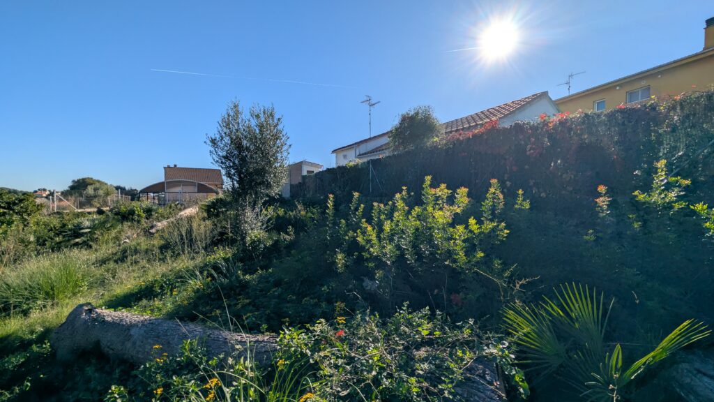 PXL_20251122_103229001