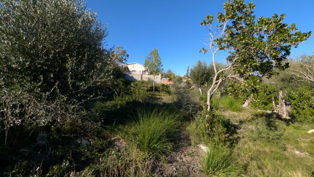 PXL_20251122_103235190