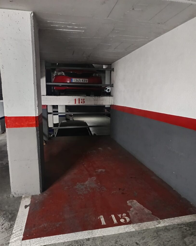 WhatsApp Image 2026-01-19 at 10.39.35