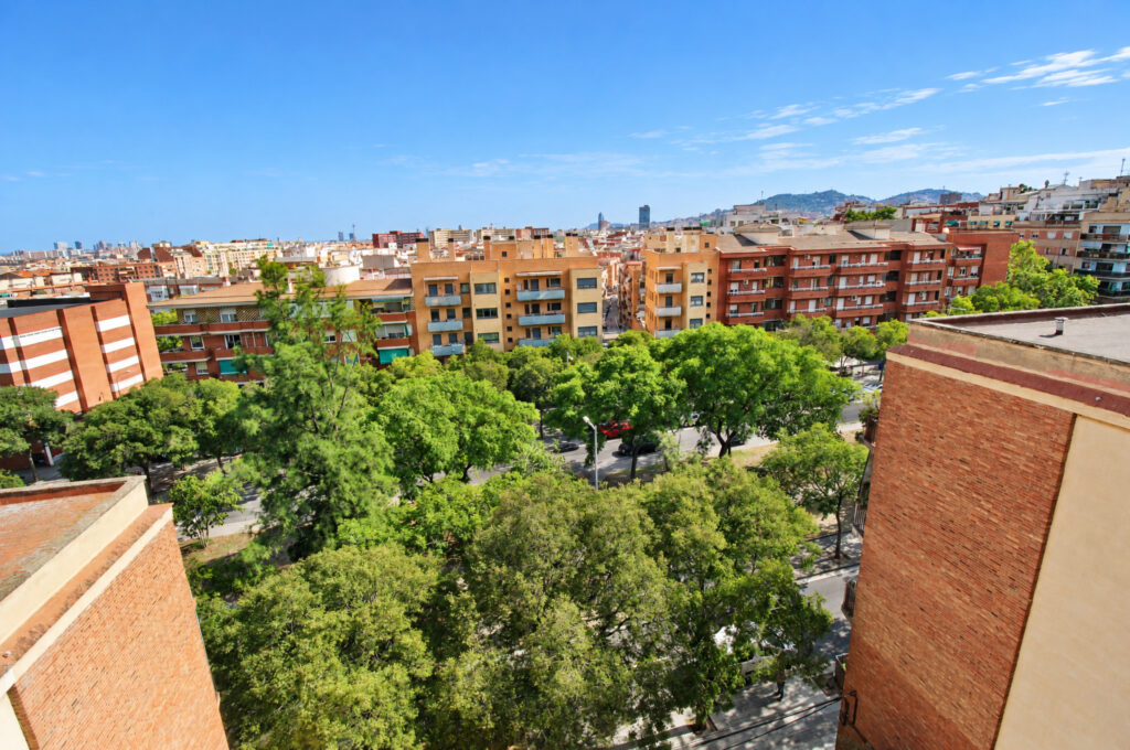 edited-IMG_2804