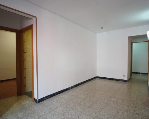 DSC01358