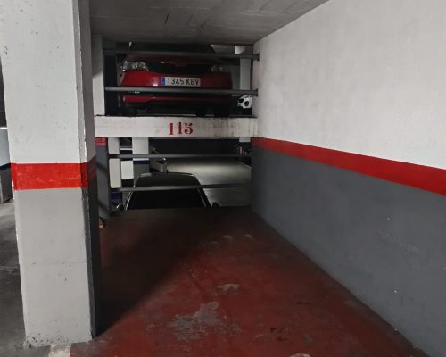 WhatsApp Image 2026-01-19 at 10.39.35