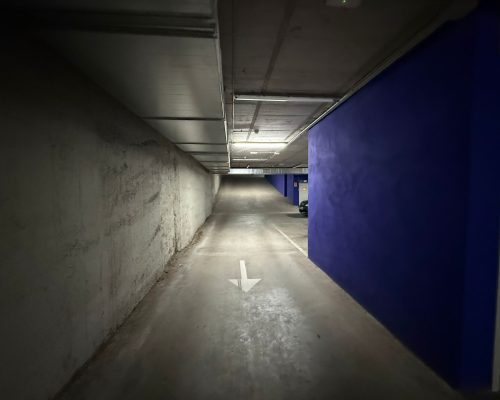 WhatsApp Image 2026-02-25 at 16.43.27