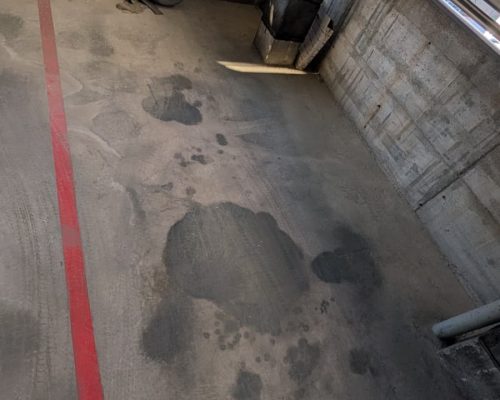 WhatsApp Image 2026-04-14 at 19.18.28