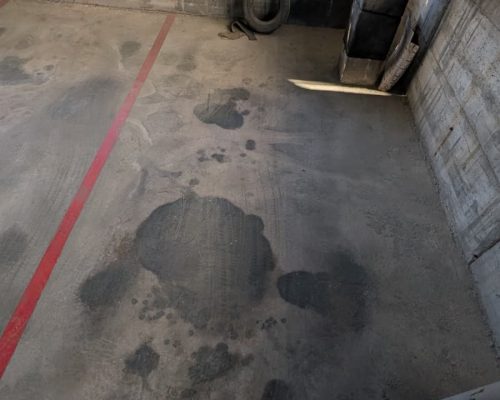 WhatsApp Image 2026-04-14 at 19.18.29