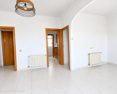 edited-IMG_2815 (1)