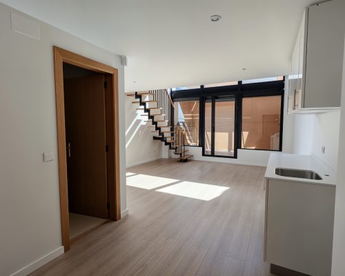inmoedit-Barnola loft (1)