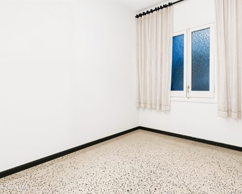 inmoedit-IMG_2375